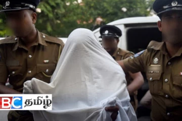 கிளிநொச்சியில் 24 மணிநேரத்தில் 17 பேர் கைது