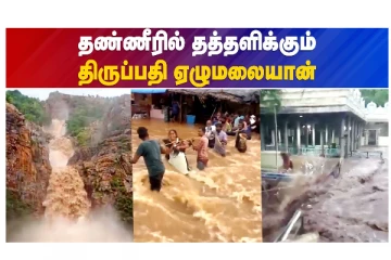 தண்ணீரில் தத்தளிக்கும் திருப்பதி ஏழுமலையான் - வீடியோ செய்தி
