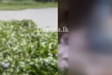 පුතුට කළ වංචාවට උරණ වූ පියා පලිගත්ත හැටි - සීදූවේ ගමන් බෑගයකින් හමු වූ පුද්ගල මළ සිරුරේ සුල මුල සියල්ල හෙළි වෙයි..