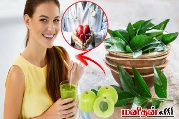 நெல்லிக்காயுடன் கறிவேப்பிலையை ஒன்னா சாப்பிடுங்க... உடலில் இந்த மாற்றங்கள் உறுதி!