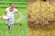 அரசின் வாக்குறுதிகள் நிறைவேறவில்லை: விவசாயிகள் குற்றச்சாட்டு
