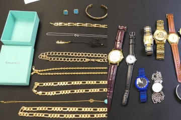 கனடாவில் 100-க்கும் மேற்பட்ட வீடுகளில் கொள்ளை: 33 பேர் கைது