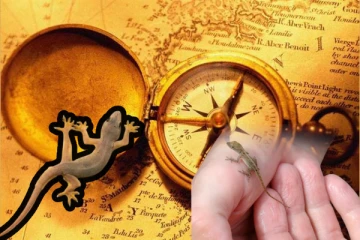 வீடுகளில் பல்லி இருப்பதற்கு இது தான் காரணம்: சகுன சாஸ்திரம் சொல்வது சரியா?