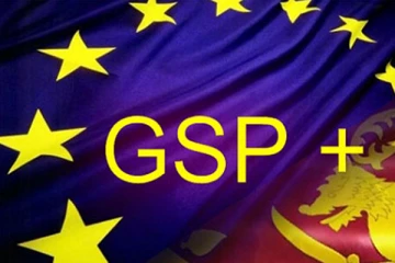 ஜீ.எஸ்.பி. வரிச்சலுகை நிறுத்தப்பட்டால் அதனை எதிர்கொள்ள தயார்! அரசாங்கம்  சவால்