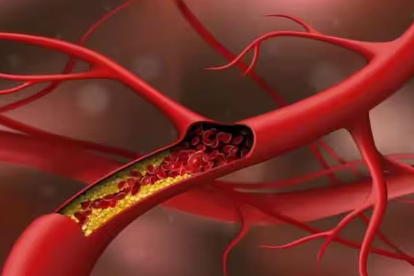 இந்த ஒரு பொருள் போதும் உங்களை ஆரோக்கியமாக வைத்திருக்க | This One Thing Is Enough To Keep You Healthy