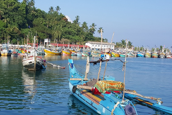 திருகோணமலை கடற்றொழில் சமூகத்தின் பிரச்சினைகள் தொடர்பில் ஆராய்வு! | Fisheries Committee Meeting