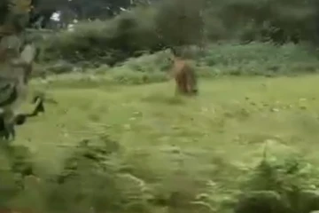 හෝර්ටන් තැන්නෙ යනවනම් පරිස්සමෙන්... එහි සිදුවූ භයානක සිදුවීම.. (VIDEO)