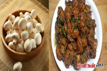 செட்டிநாட்டு ஸ்டைலில் மஸ்ரூம் சுக்கா - இப்படி ஒரு தடவை செய்ங்க