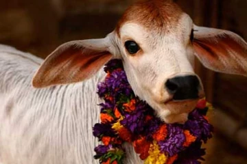 வாழ்க்கையில் தடங்கல் விலக நாம் செய்ய வேண்டிய தானம்