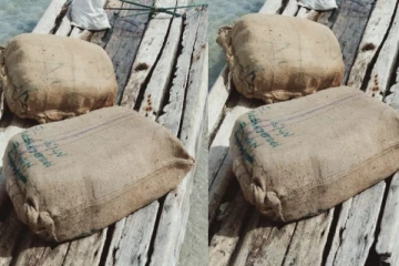 மாதகல் பகுதியில் சிக்கிய கஞ்சா மூடைகள்! பொலிஸார் எடுத்துள்ள நடவடிக்கை