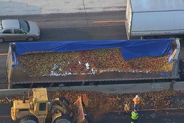 கனடாவில் வீதி எங்கும் சிதறிய ஆப்பிள்கள் | Thousands Of Apples Scattered On Hwy