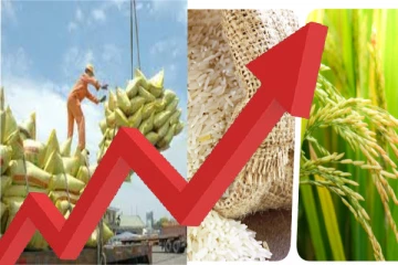 இந்தியாவின் ஒற்றை முடிவு! வரலாறு காணாத சாதனை படைத்தது பாகிஸ்தான்