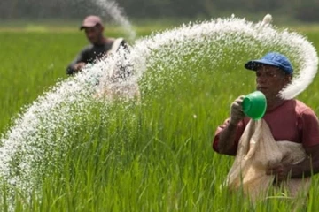 1000 ரூபாவிற்கும் குறைவான விலையில் உரம் - விவசாயிகளுக்கு மகிழ்ச்சி தகவல்