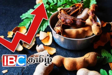 நாட்டில் அதிகரித்த கறி புளியின் விலை!