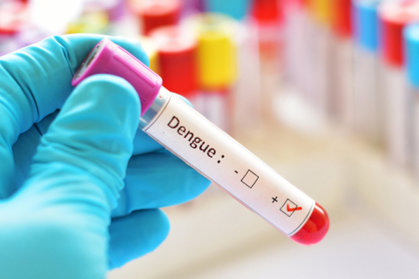 இலங்கையில் அதிகரிக்கும் டெங்கு தொற்று | Increased Dengue Cases In Sri Lanka