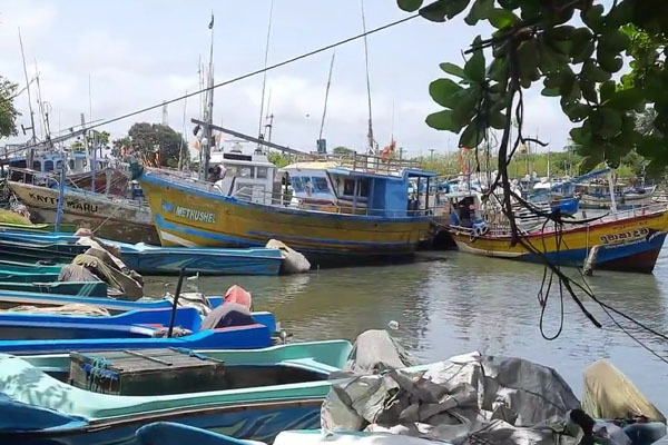மீன்பிடி துறைமுகத்துக்கு அருகில் மீட்கப்பட்ட பெண்ணின் சடலம் | Body Of Woman Recovered Near Court