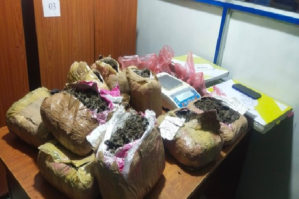 கிளிநொச்சியில் கைவிடப்பட்ட வீட்டில் பொலிஸாருக்கு காத்திருந்த அதிர்ச்சி | Abandoned House In Kilinochchi Kerala Cannabis