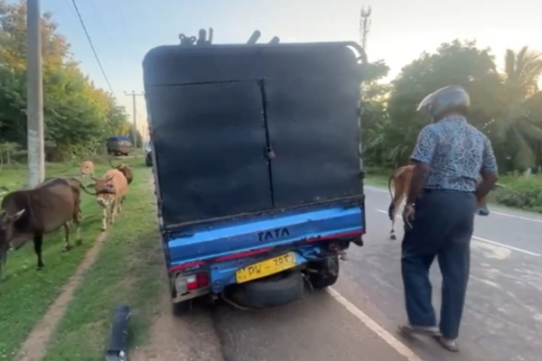 வவுனியாவில் நான்கு வாகனங்கள் ஒன்றுடன் ஒன்று மோதி விபத்து | Four Vehicle Crash In Vavuniya வவுனியாவில் நான்கு வாகனங்கள் ஒன்றுடன் ஒன்று மோதி விபத்து | Four Vehicle Crash In Vavuniya