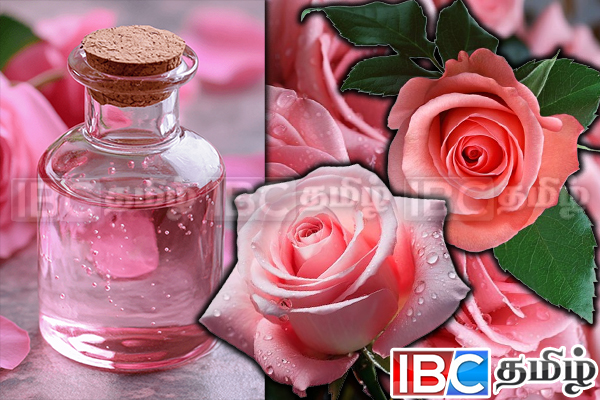 கருமை நிறத்தை போக்க வேண்டுமா...! கிரீம்களுக்கு பதிலாக இதை பயன்படுத்துங்கள் | Dark Skin Remove To White Face Super Simple Tips கருமை நிறத்தை போக்க வேண்டுமா...! கிரீம்களுக்கு பதிலாக இதை பயன்படுத்துங்கள் | Dark Skin Remove To White Face Super Simple Tips