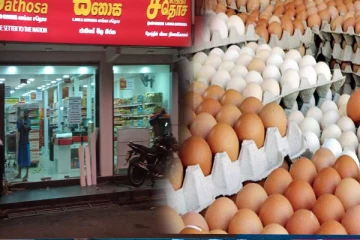 70 இலட்சம் இந்திய முட்டைகள் இலங்கை சதொசவிற்கு