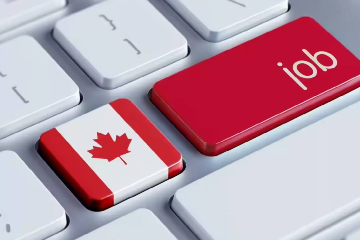 கனடாவின் பொருளாதாரத்தில் பெரும் மாற்றங்கள் ; வேலைவாய்ப்புச் சந்தையில் கடும் சரிவு | Change In Canada Economy Decline In The Job Market