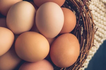 எதிர்காலத்தில் முட்டையின் விலையை மேலும் குறைக்க நடவடிக்கை