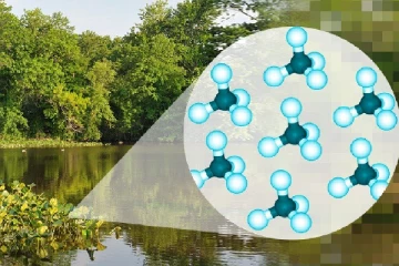 ලුණු සහිත වගුරු වල මීතේන් වායුව ඇති බව ඔබ දන්නවාද..?