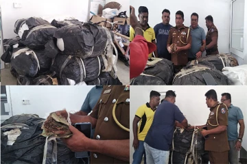 சட்டவிரோதமாக பீடி இலைகளை கடத்த முற்பட்டவர் கைது