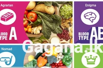 රුධිර වර්ගය අනුව ඔබට සුදුසු කෑම වර්ග මෙන්න - කියවිය යුතුම ලිපියකි..!