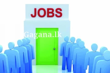 රජයේ තනතුරු රැසක පුරප්පාඩු ගැන එකවරම විශේෂ දැනුම්දීමක් - කරන්න යන දේ ගැන ඇමති කියයි..