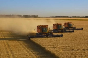 10 வாரங்கள் மட்டுமே தாக்குபிடிக்கும் உலகின் கோதுமை கையிருப்பு: ஐ.நா-வில் சாரா மெங்கர் எச்சரிக்கை!