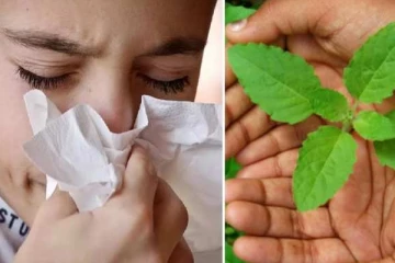 சளியை கரைத்து மலத்தில் அடித்து விரட்டும் மூலிகை கஷாயம்!