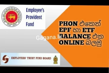 ඔබගේ EPF ගිණුම Online පරීක්ෂා කරන්න විශේෂ ක්‍රමයක්..මෙතනින් පරීක්ෂා කර බලන්න.