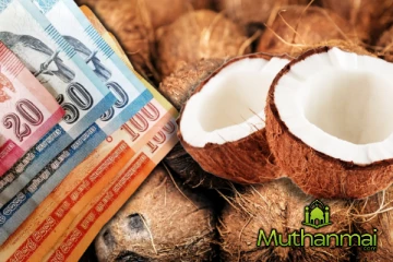 தேங்காய் விலையில் ஏற்பட்டுள்ள மாற்றம்