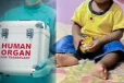 16 மாத குழந்தையின் உடல் உறுப்பு தானம்; இருவருக்கு புது வாழ்வு