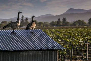 தலைசிறந்த நாடுகள் பட்டியல்: கனடாவுக்கு கிடைத்துள்ள இடம்