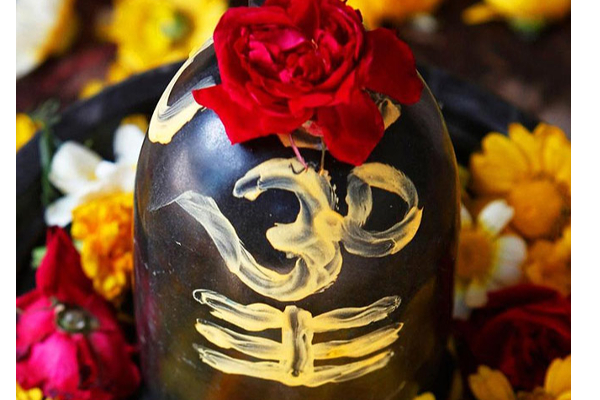 மகா சிவராத்திரியில் சிவனுக்கு இந்த மலர்களால் பூஜை செய்தால் நினைத்தது நிறைவேறும்! | Shiva With These Flowers On Maha Shivratri