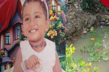 தேயிலை கொழுந்து பறிக்கச் சென்ற தாய் : 16 மாத குழந்தைக்கு நேர்ந்த துயரம்