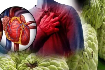 மாரடைப்பை தடுக்கும் சீதாப்பழம் : தினமும் சாப்பிட்டால் இத்தனை நன்மைகளா?