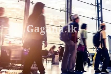 රට රැකියා ගැන රජය විශේෂ තීරණයකට යයි - මොකක් වෙයි ද?.