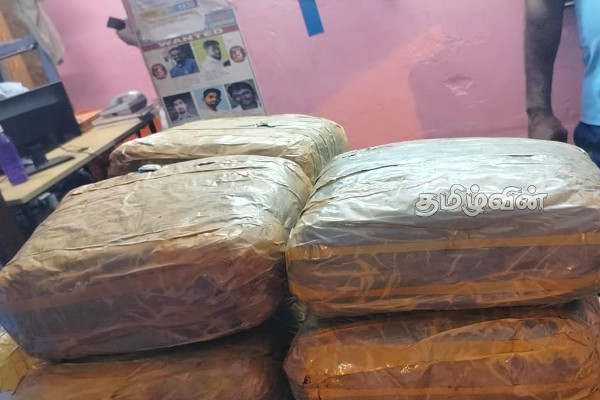 நடுக்கடலில் மீட்கப்பட்ட கஞ்சாவை விற்க முயன்ற நபர் கைது (Photos) | Man Arrested For Packets Find Middle Of The Sea