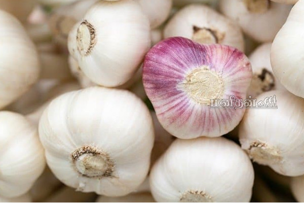 இறக்குமதி செய்து விற்கப்பட்டு வரும் ஆபத்தான உணவுகள் - உயிருக்கு ஆபத்து...எச்சரிக்கையாக பார்த்து வாங்குங்கள் | Dangerous Foods From China