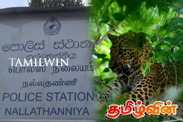 நல்லதண்ணி லக்சபான தேயிலை மலையில் சிறுத்தை சடலம் மீட்பு