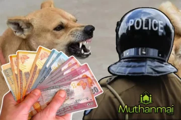 மட்டக்களப்பில் நாய்க்கடிக்கு இழப்பீடு பெற்ற பெண்..!