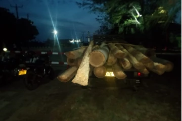 அனுமதிப்பத்திரமின்றி பனைமரங்களை ஏற்றி வந்த 6 பேர் கைது (Photos)