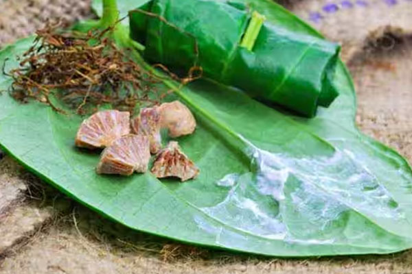 இந்த 3 பொருட்கள் இல்லாமல் பூஜை செய்யவே கூடாதாம் | Puja Should Not Be Performed Without These 3 Items