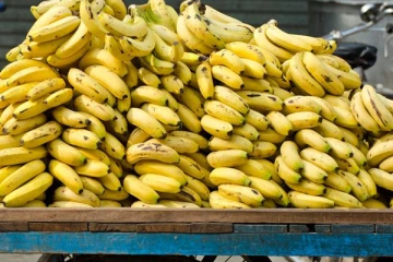 இலங்கைக்கு பெரும் தொகை டொலர்களை ஈட்டிக்கொடுத்த வாழைப்பழம்!