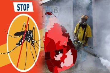 தீவிரமடையும் டெங்கு பரம்பல்:மக்களுக்கு விடுக்கப்பட்டுள்ள அறிவிப்பு