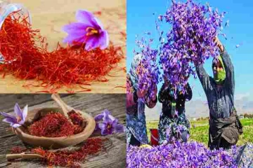 உலகிலேயே மிகவும் விலையுயர்ந்த பூ பற்றி உங்களுக்குத் தெரியுமா!