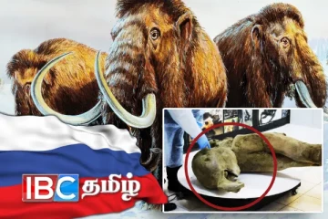 50,000 ஆண்டுகள் பழமையான மாமூத் யானையின் உடல் மீட்பு